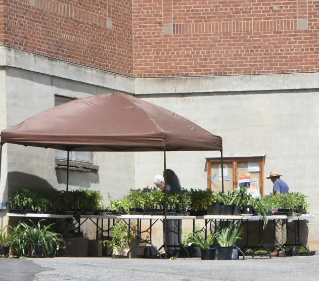 SMCC Plant Sale Stand 2021