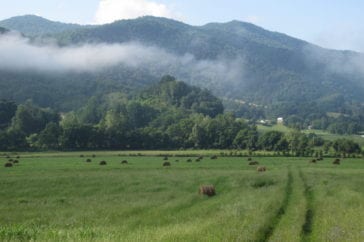 conserved farmland with hayfield with mountains and bard in background, farmland conservation in sandy mush, nc
